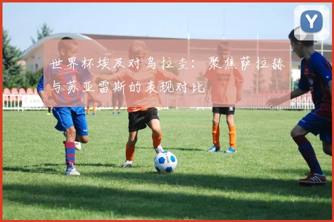 世界杯埃及对乌拉圭：聚焦萨拉赫与苏亚雷斯的表现对比